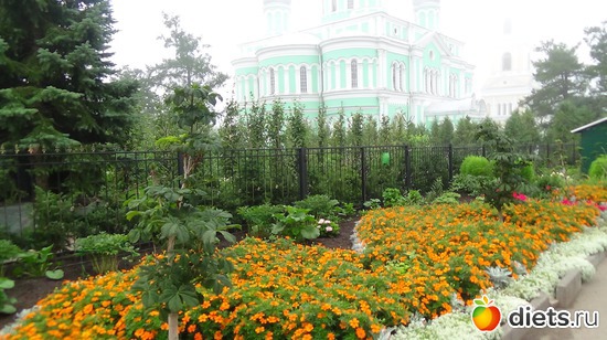 41 ����: �����  �������