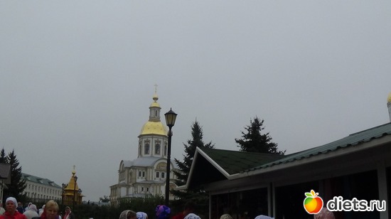 43 ����: �����  �������