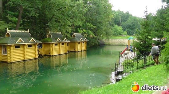 46 ����: �����  �������