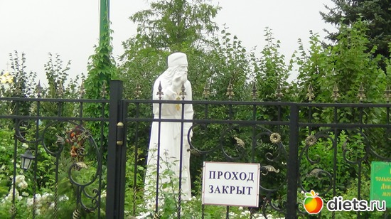 50 ����: �����  �������