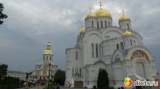 54 ����: �����  �������