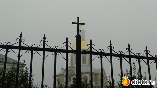 55 ����: �����  �������