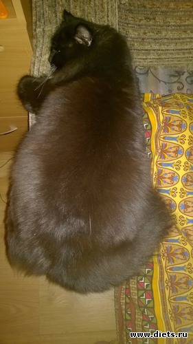 16 ����: ������