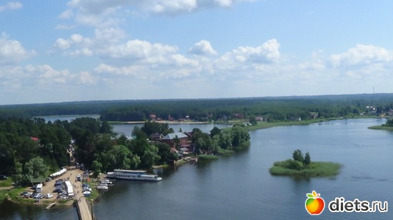 10 ����: �������