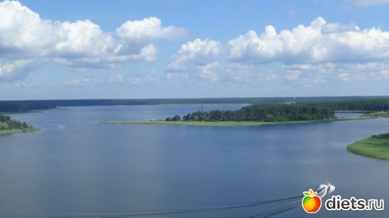 11 ����: �������