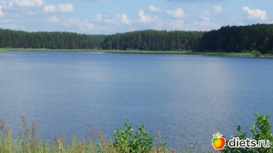 23 ����: �������