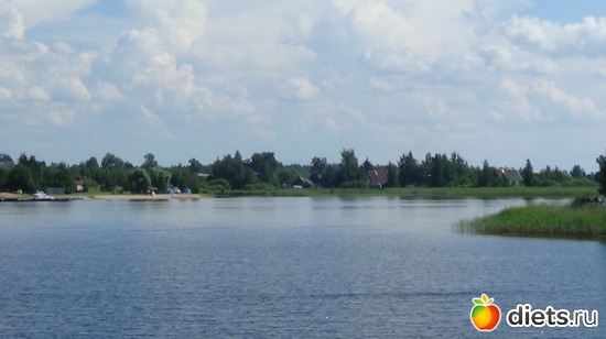 24 ����: �������