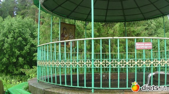 26 ����: �������