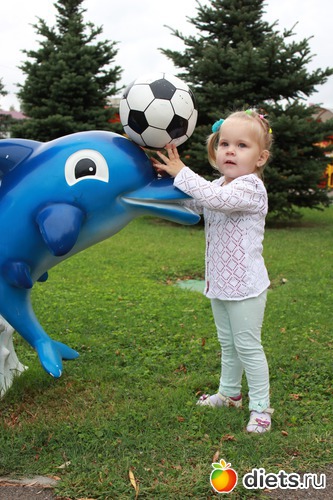 29 ����: ��� ������ (� ��������-��������)