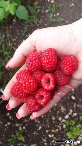 15 ����: ��� ���������