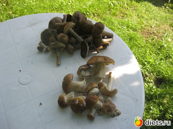 2 ����: ��������