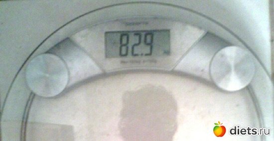 24.08.16�., ������: ��� ����������