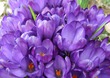 5/90