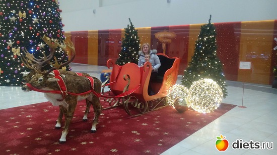 55 ����: ������, ��� 2-�