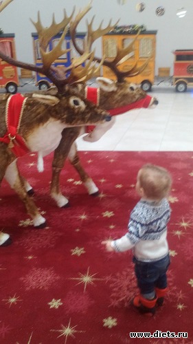 56 ����: ������, ��� 2-�