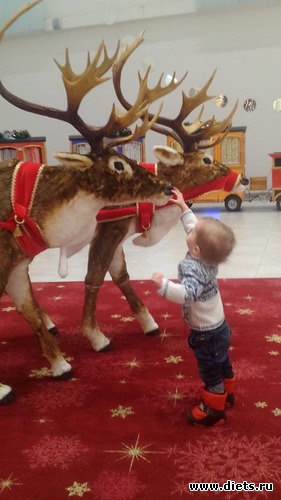 57 ����: ������, ��� 2-�