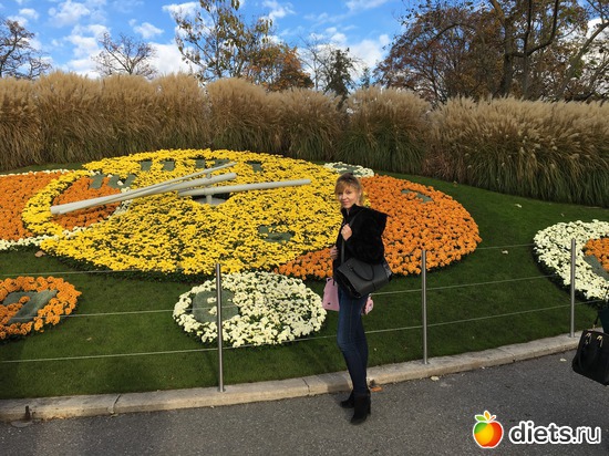 2 ����: ������...