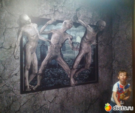 15 ����: ������������,3.12.2016