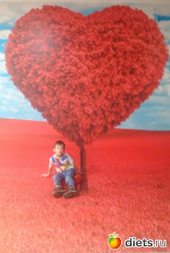 19 ����: ������������,3.12.2016