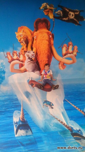 24 ����: ������������,3.12.2016