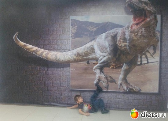 41 ����: ������������,3.12.2016