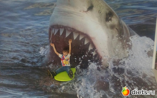 44 ����: ������������,3.12.2016