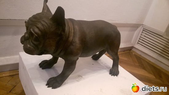 12 ����: �������� ������� ��������