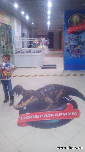 1 ����: ������������,3.12.2016