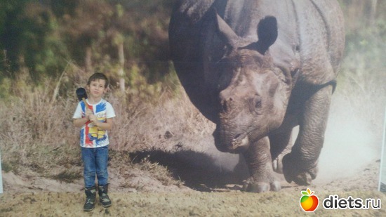 6 ����: ������������,3.12.2016