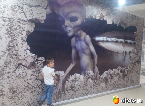 12 ����: ������������,3.12.2016