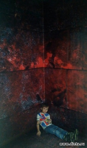 13 ����: ������������,3.12.2016