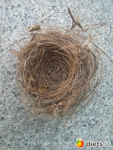 160 фото: Природа...