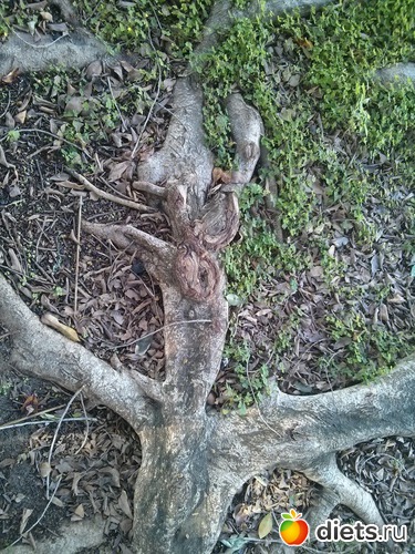 162 фото: Природа...