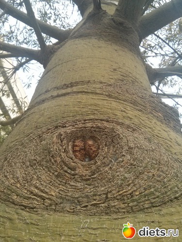 164 фото: Природа...