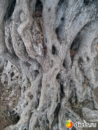 173 фото: Природа...