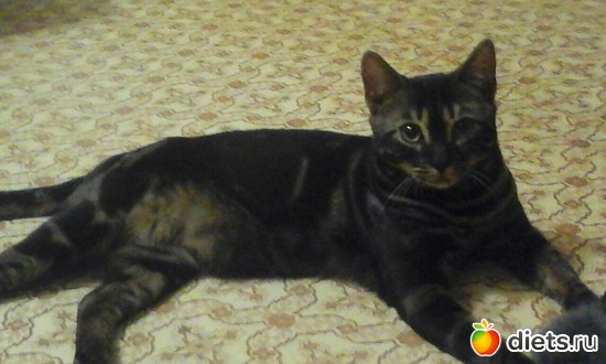 5 ����: ��� ��������