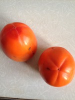 11 декабря 2016