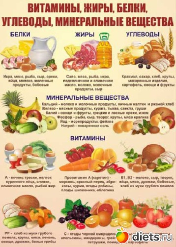 5 ����: ��