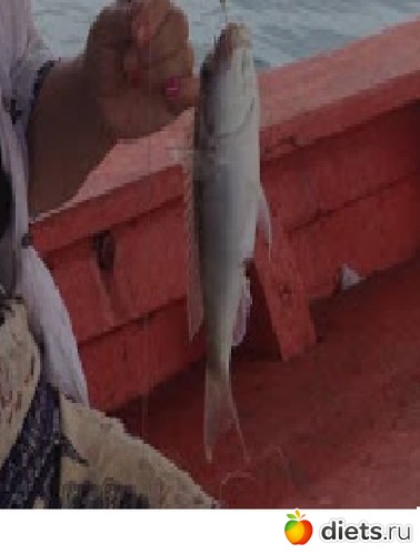 7 фото: Разное