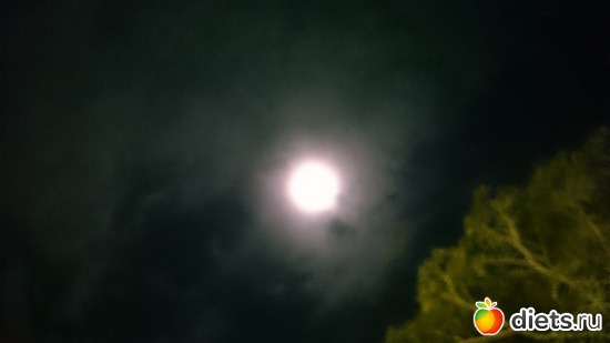 11 фото: Разное