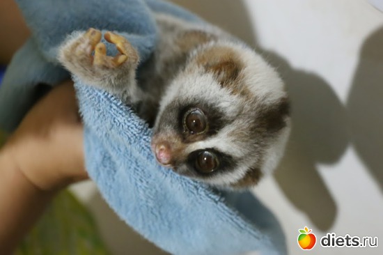 ����� ������ ���..3, ������: ��� ��������