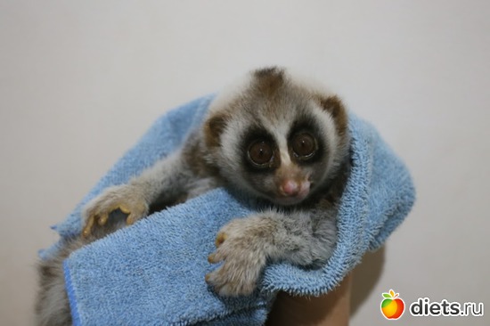 ����� ������ ���..7, ������: ��� ��������