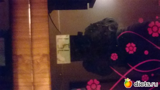 5 ����: 26 �����