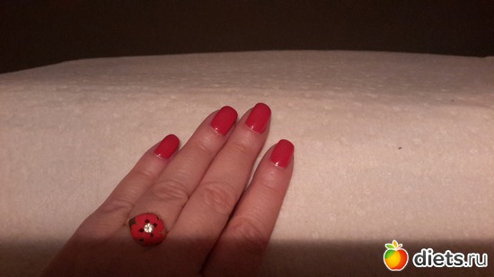 2 ����: �������