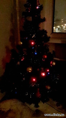 4 ����: �������