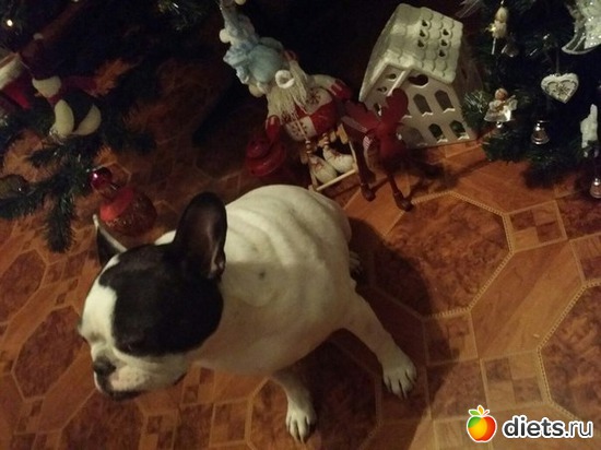 34 ����: ��� �������