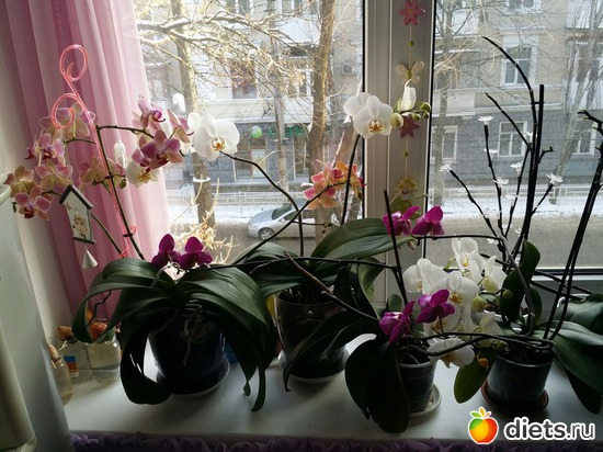 15 ����: �