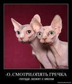 15-16/90 - углеводы и витамины.