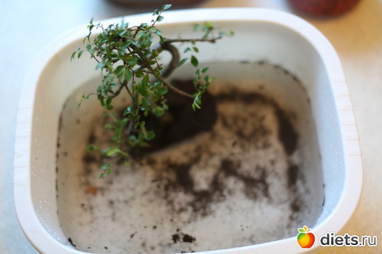 5 ����: ������