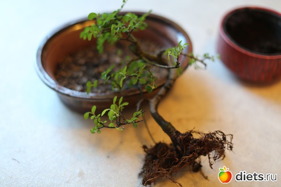 7 ����: ������
